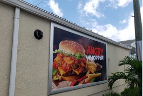 Snapper Frames for Sign Solutions