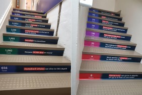 Floor Graphics for Sign Solutions