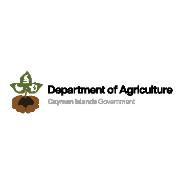 Department of Agriculture - Cayman Islands Government Department of Agriculture - Cayman Islands Government